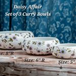 Daisy Affair  Set of 3 Curry Bowls